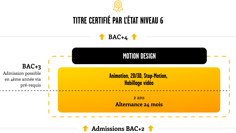 schema_etudes_filiere_motion_animation_sup_de_creation