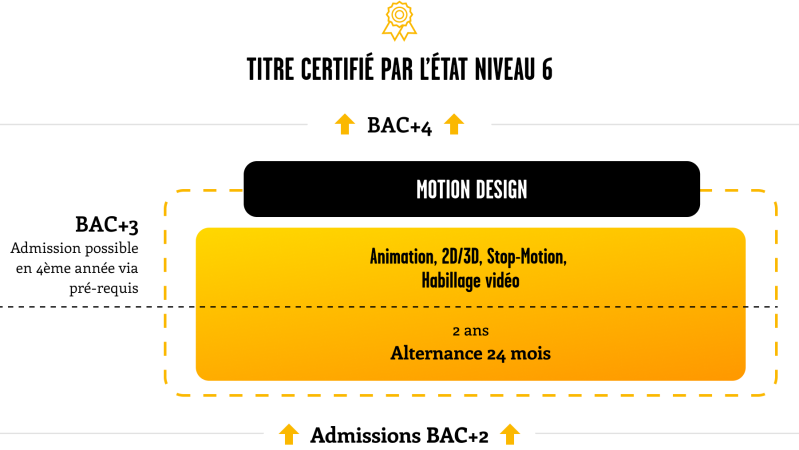 schema_etudes_filiere_motion_animation_sup_de_creation